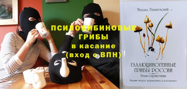 индика Красноперекопск